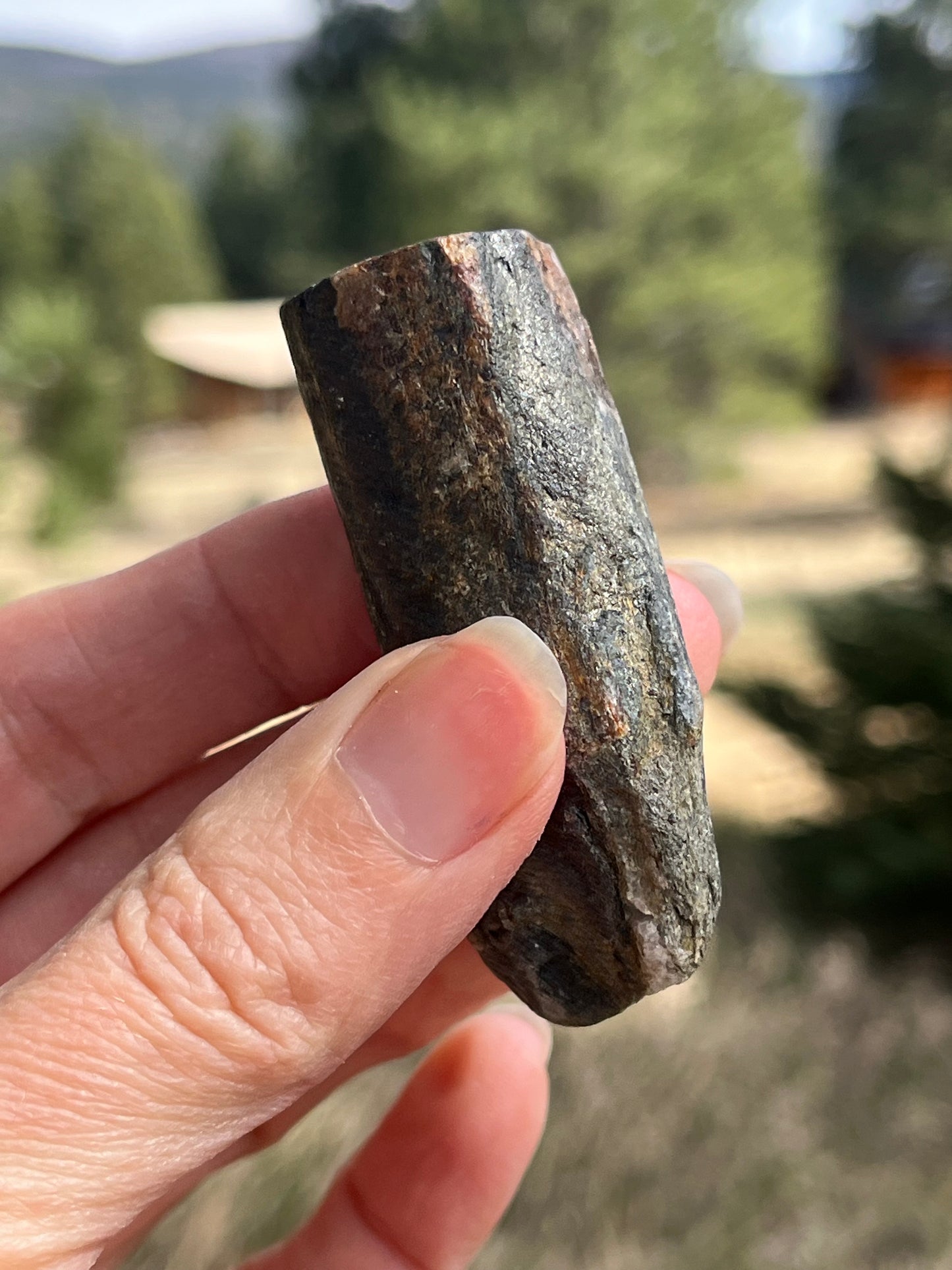 Chiastolite Rough stone for lapidary art