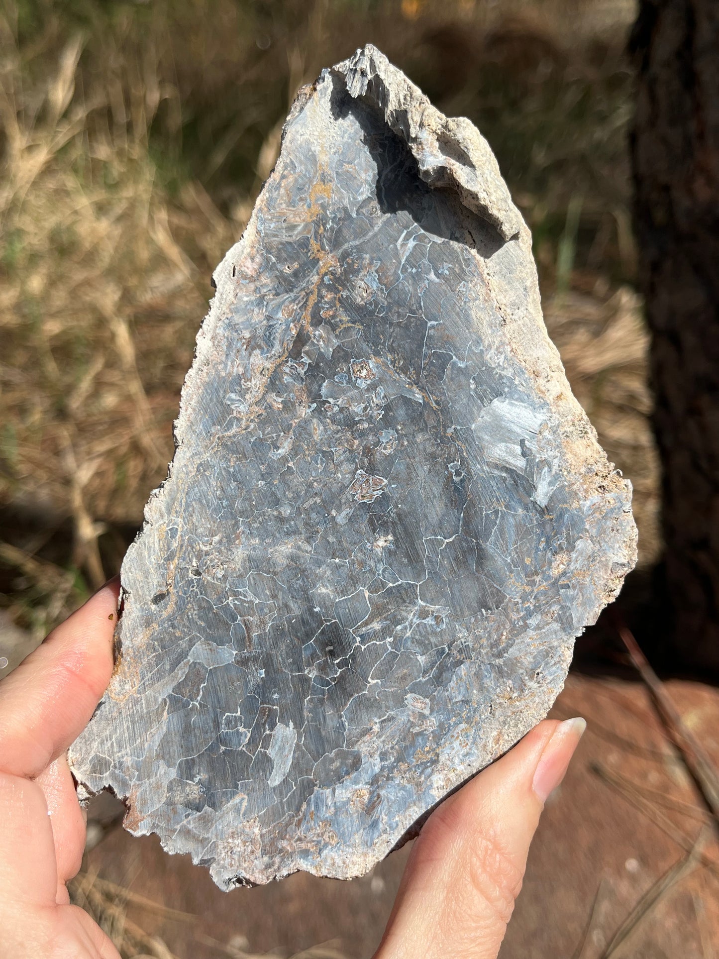 Blue Pietersite lapidary stone supplies rare