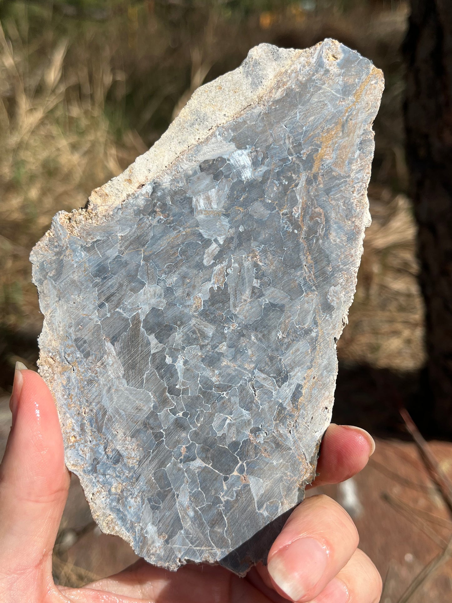 Blue Pietersite lapidary stone supplies rare