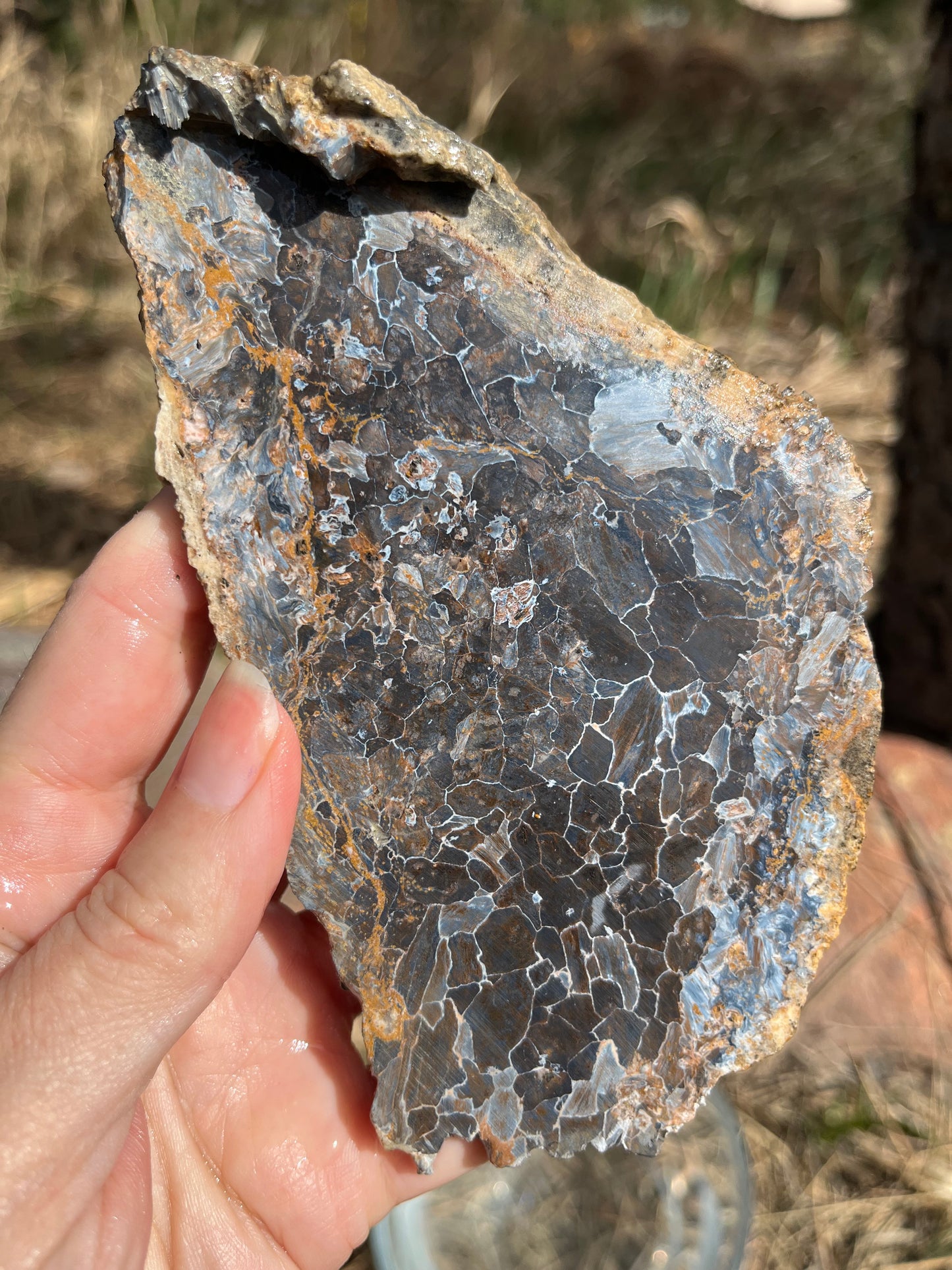 Blue Pietersite lapidary stone supplies rare
