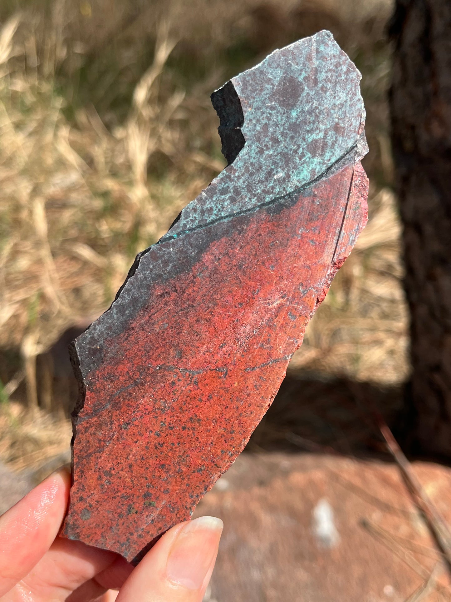 Sonora Sunrise chrysocolla cuprite stone lapidary supplies