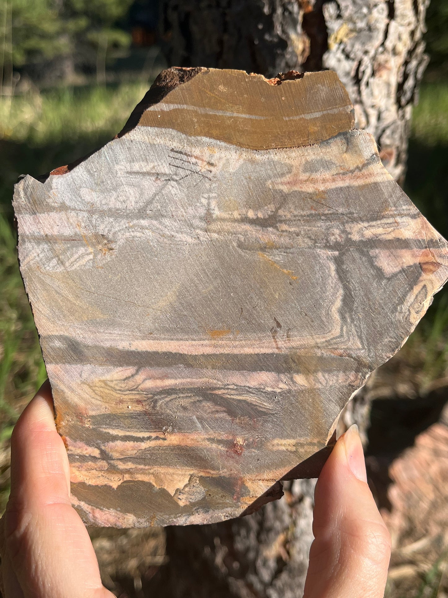 Andromeda Jasper Lapidary Slab Madagascar