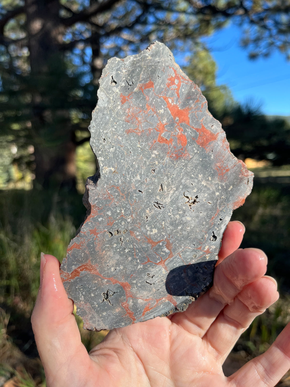 Dragons Blood Stone Lapidary Slab supplies