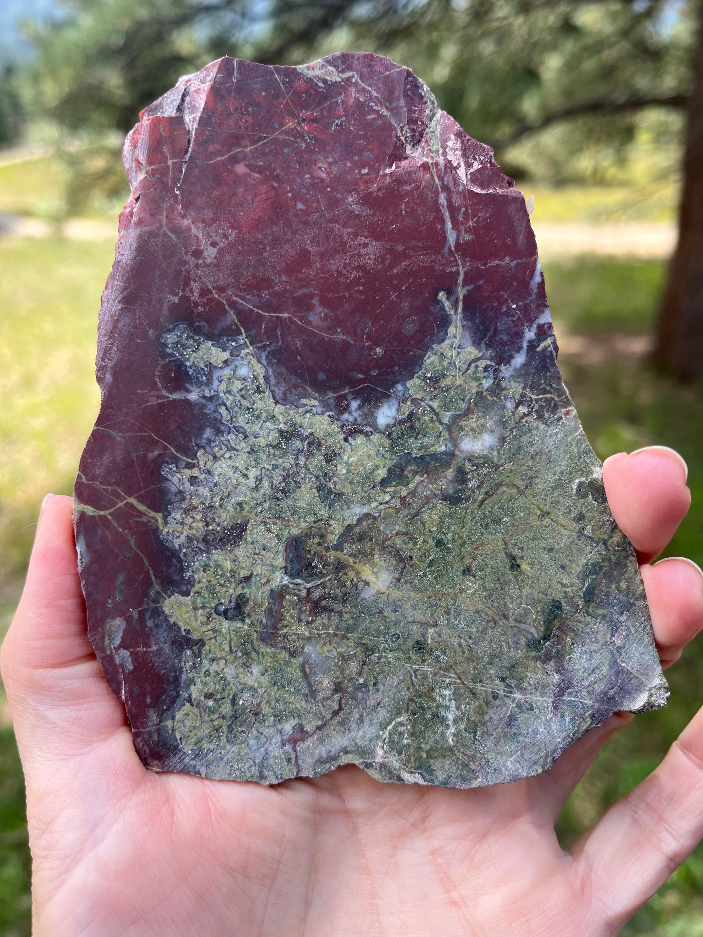 Dragonsblood Jasper Lapidary Slab stone