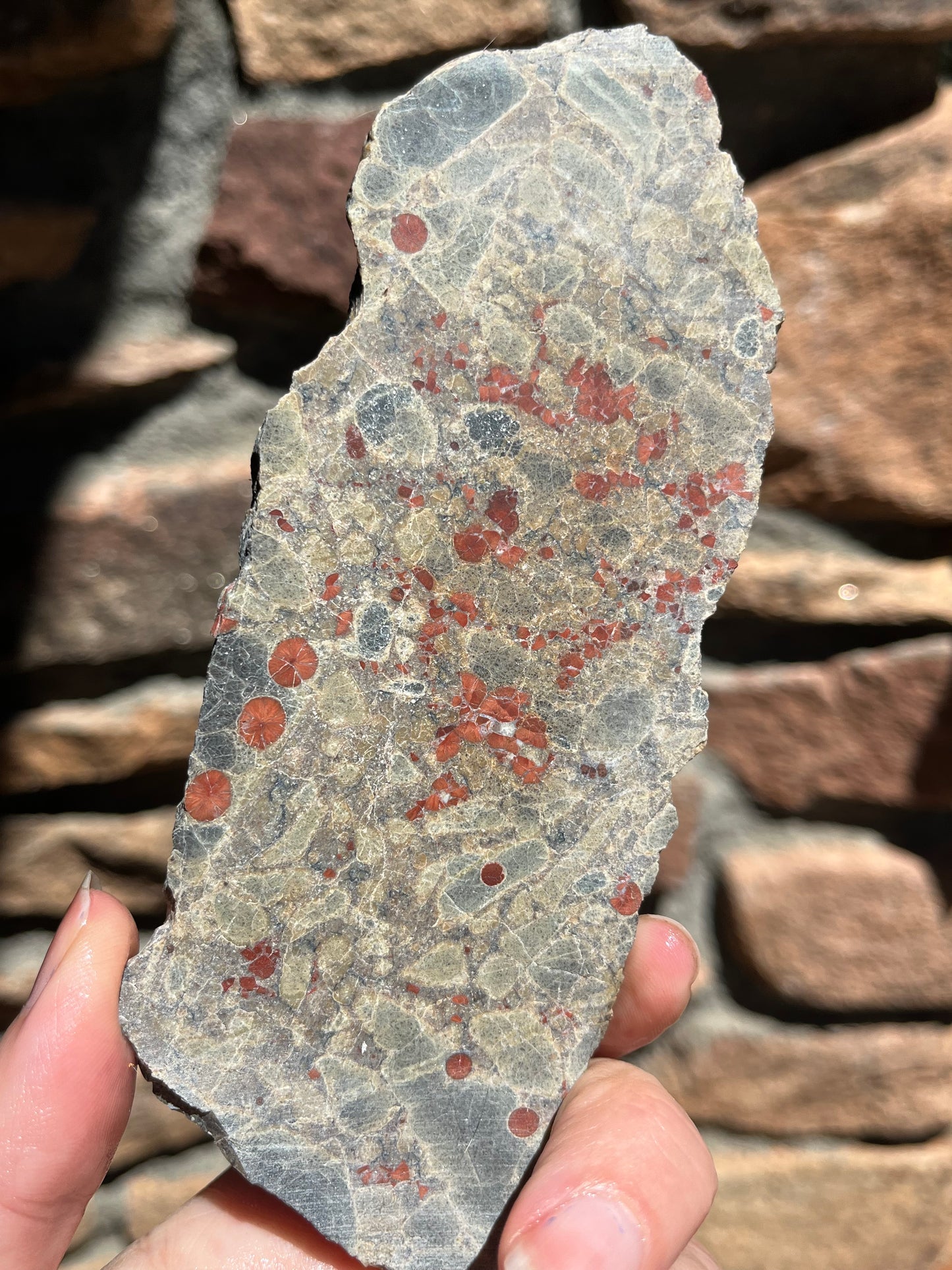 Stabilized Peanut Obsidian slab lapidary stone supplies