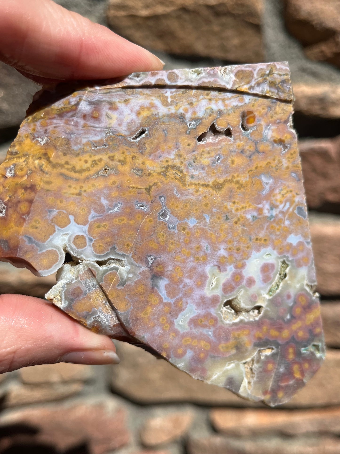 Ocean Jasper lapidary slab stone