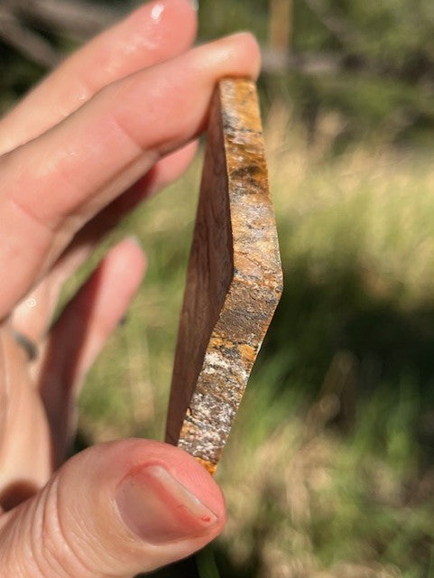 Picture Jasper Lapidary Slab supplies small slabs