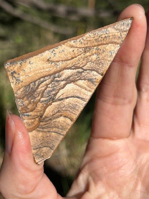 Picture Jasper Lapidary Slab supplies small slabs