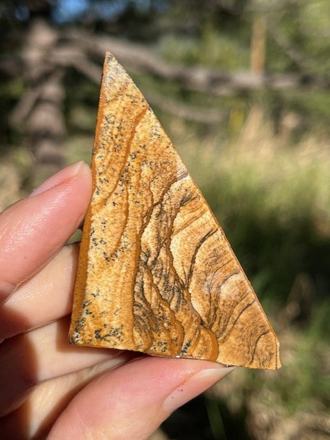 Picture Jasper Lapidary Slab supplies small slabs