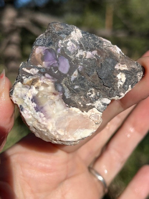 Tiffany Stone Lapidary Slab supplies small from Utah