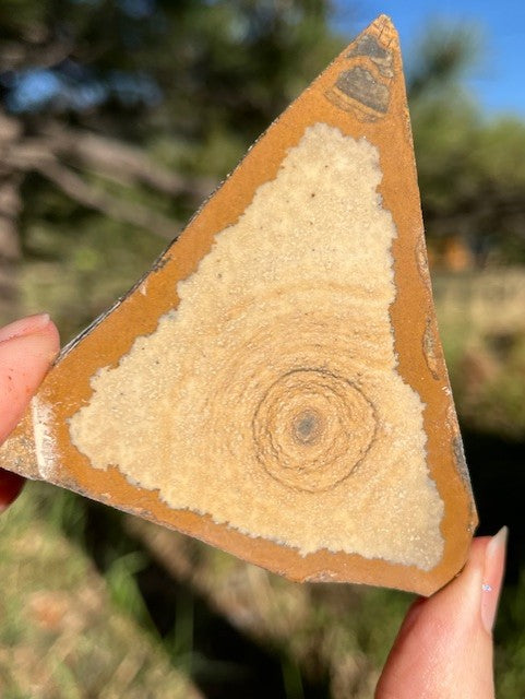 Picture Jasper Lapidary Slab supplies stone