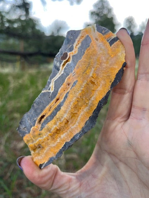 Bumblebee Jasper Lapidary Slab supplies stone