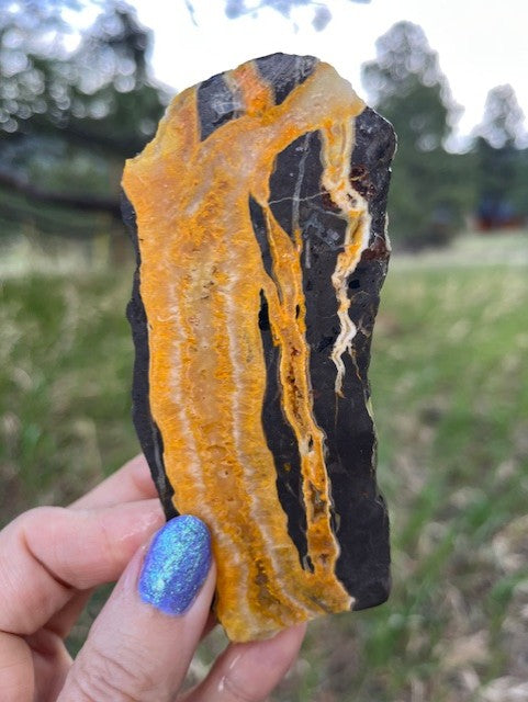 Bumblebee Jasper Lapidary Slab supplies stone