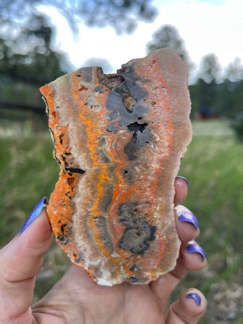 Bumblebee Jasper Indonesia Lapidary Slab supplies
