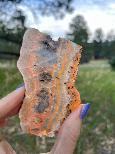 Bumblebee Jasper Indonesia Lapidary Slab supplies
