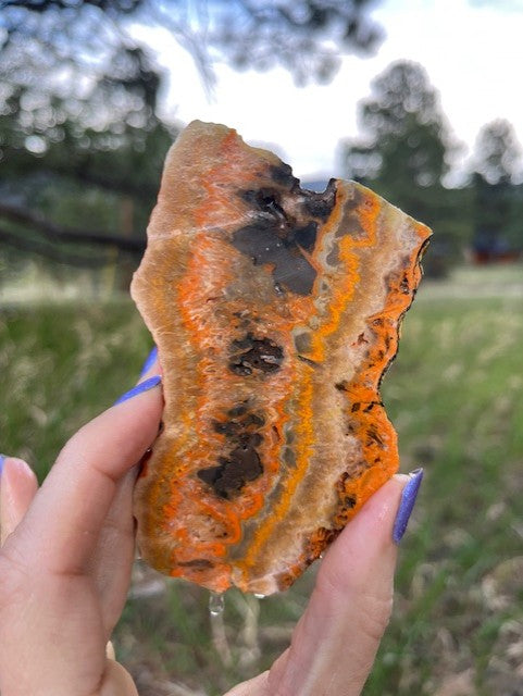 Bumblebee Jasper Indonesia Lapidary Slab supplies