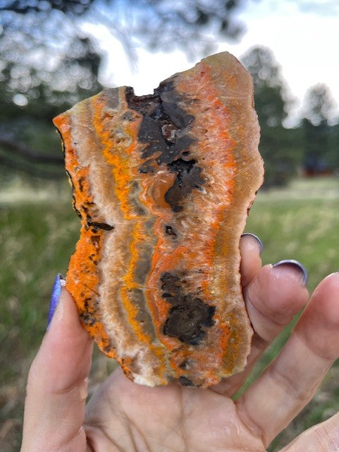 Bumblebee Jasper Indonesia Lapidary Slab supplies