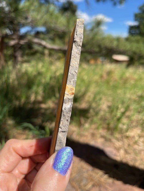 Bumblebee Jasper Lapidary Slab supplies stone