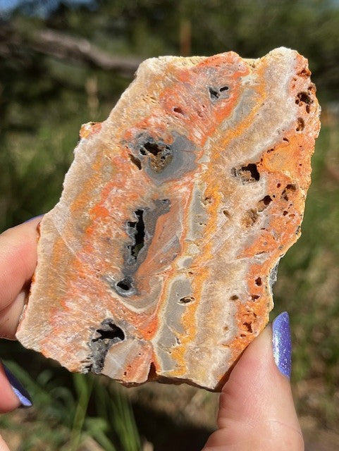 Bumblebee Jasper Lapidary Slab supplies stone bright