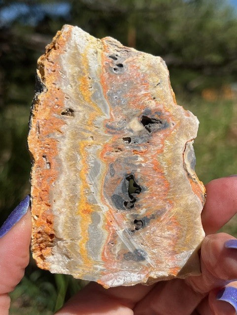 Bumblebee Jasper Lapidary Slab supplies stone bright