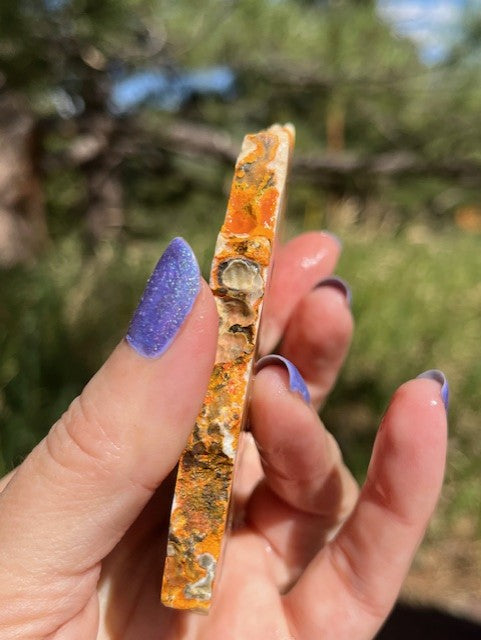 Bumblebee Jasper Lapidary Slab supplies stone bright