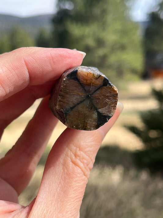 Chiastolite Rough stone for lapidary art