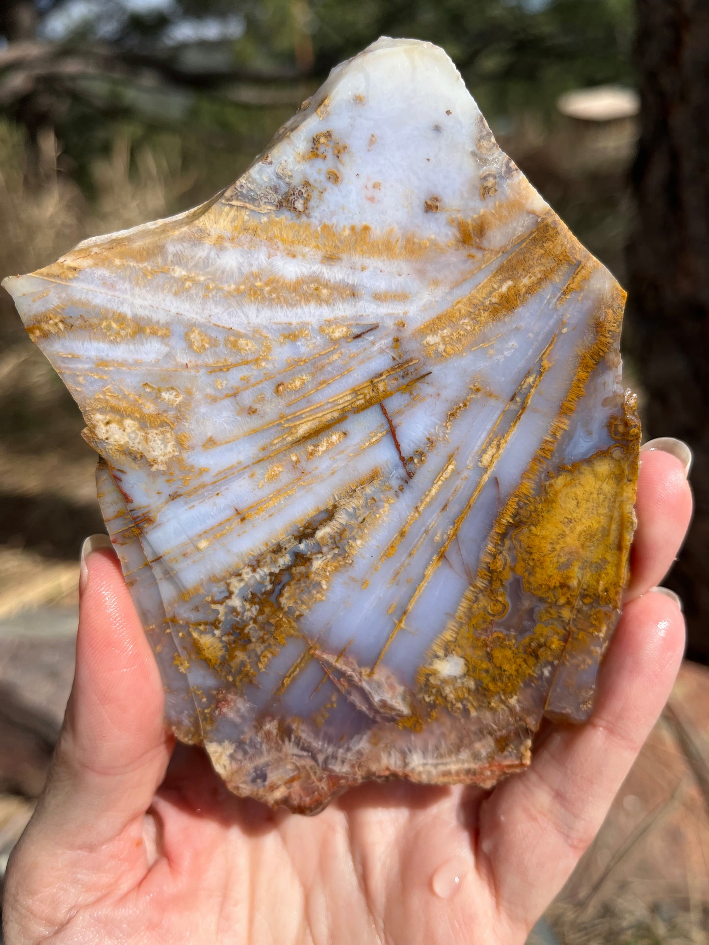 Sagenite Purple Agate lapidary stone supplies