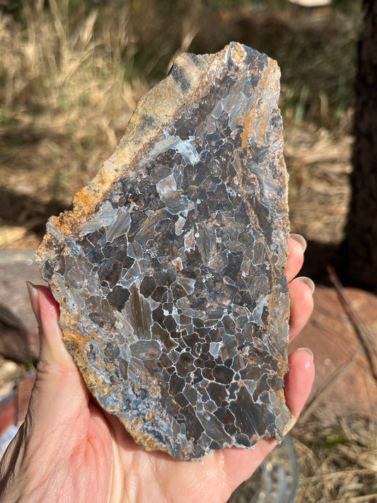 Blue Pietersite lapidary stone supplies rare