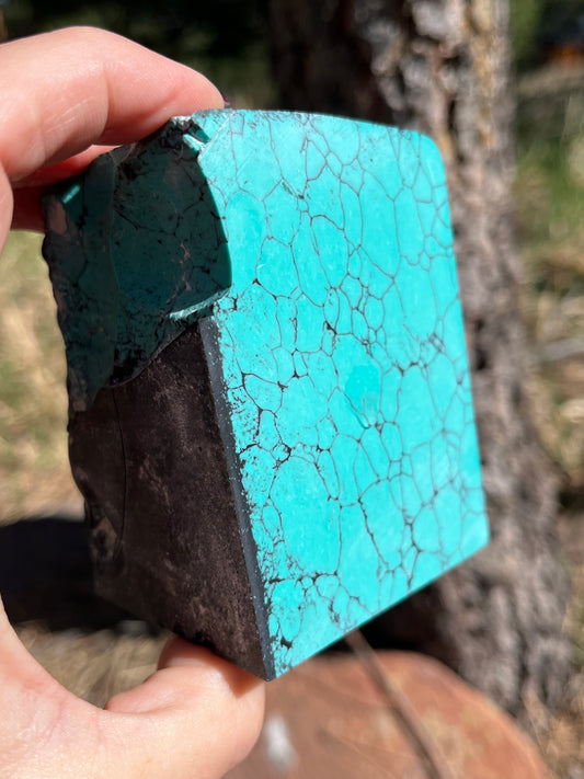 Composite turquoise rough lapidary supplies