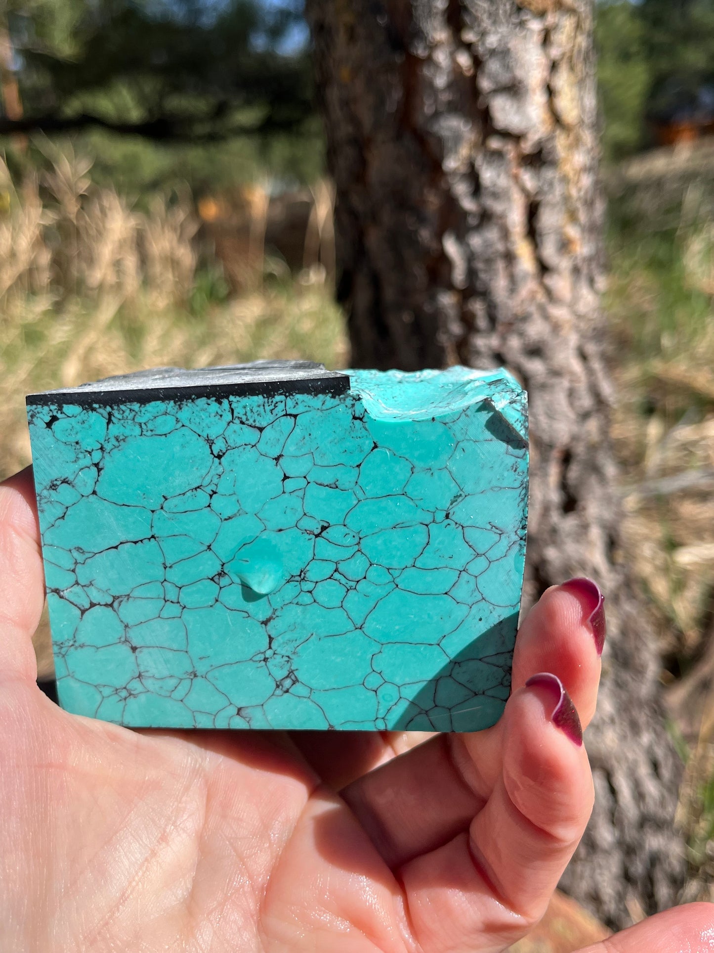 Composite turquoise rough lapidary supplies