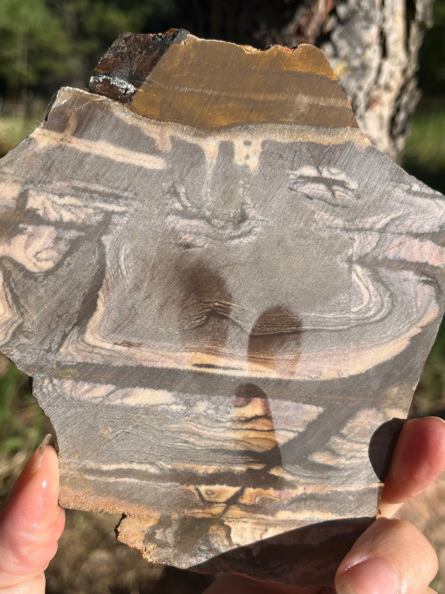 Andromeda Jasper Lapidary Slab Madagascar