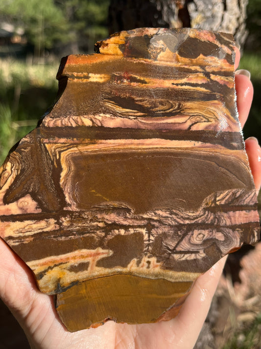 Andromeda Jasper Lapidary Slab Madagascar