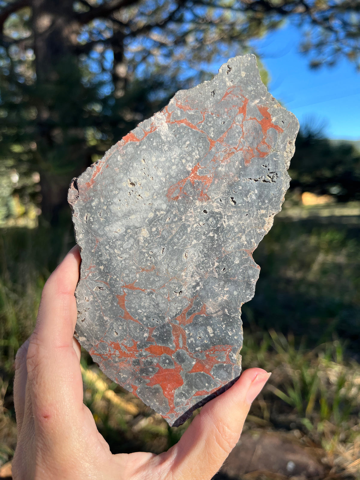 Dragons Blood Stone Lapidary Slab supplies