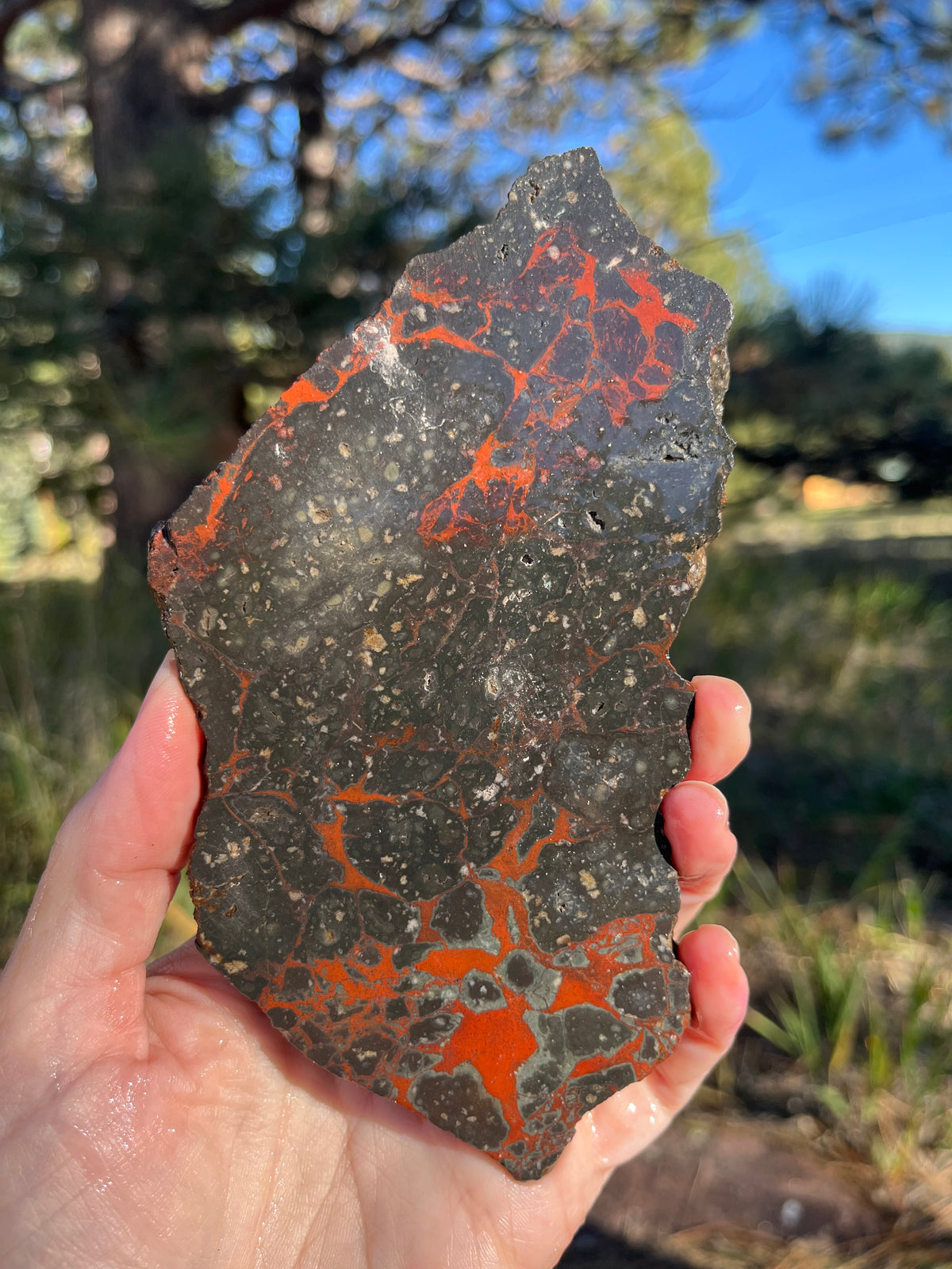 Dragons Blood Stone Lapidary Slab supplies