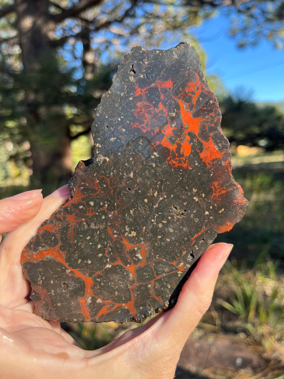 Dragons Blood Stone Lapidary Slab supplies