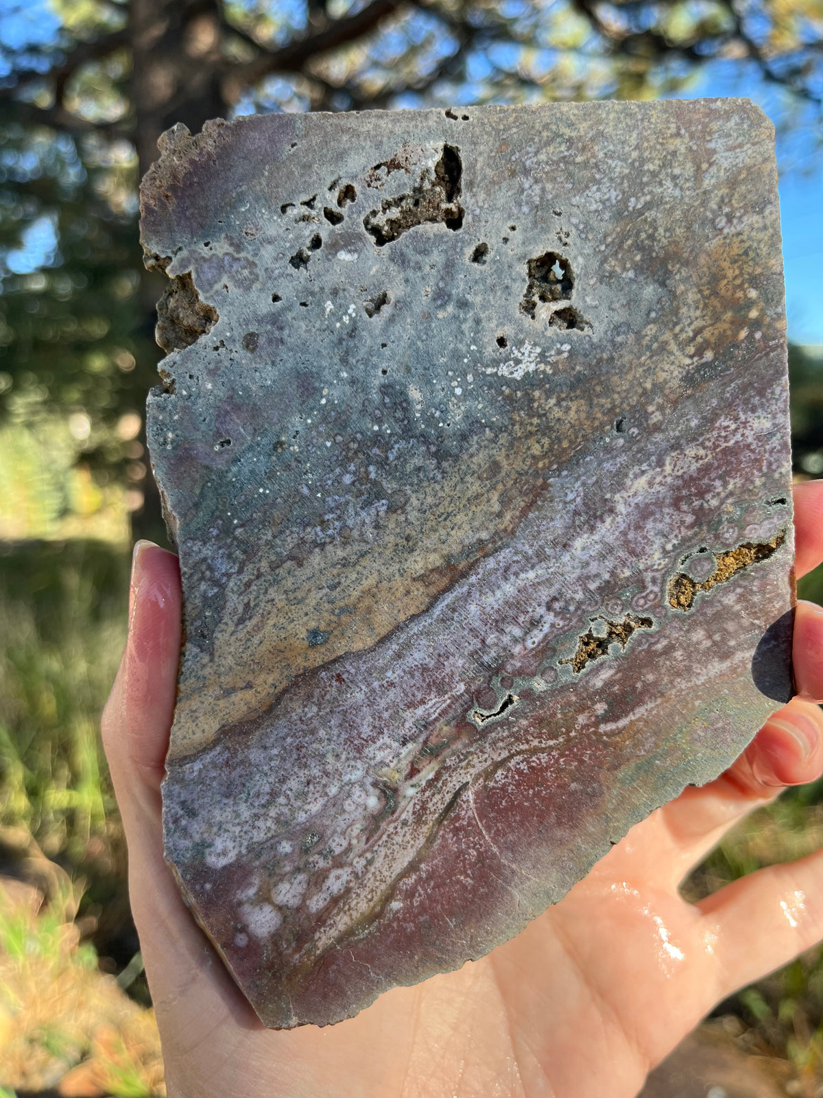 River Jasper Lapidary Slab supplies