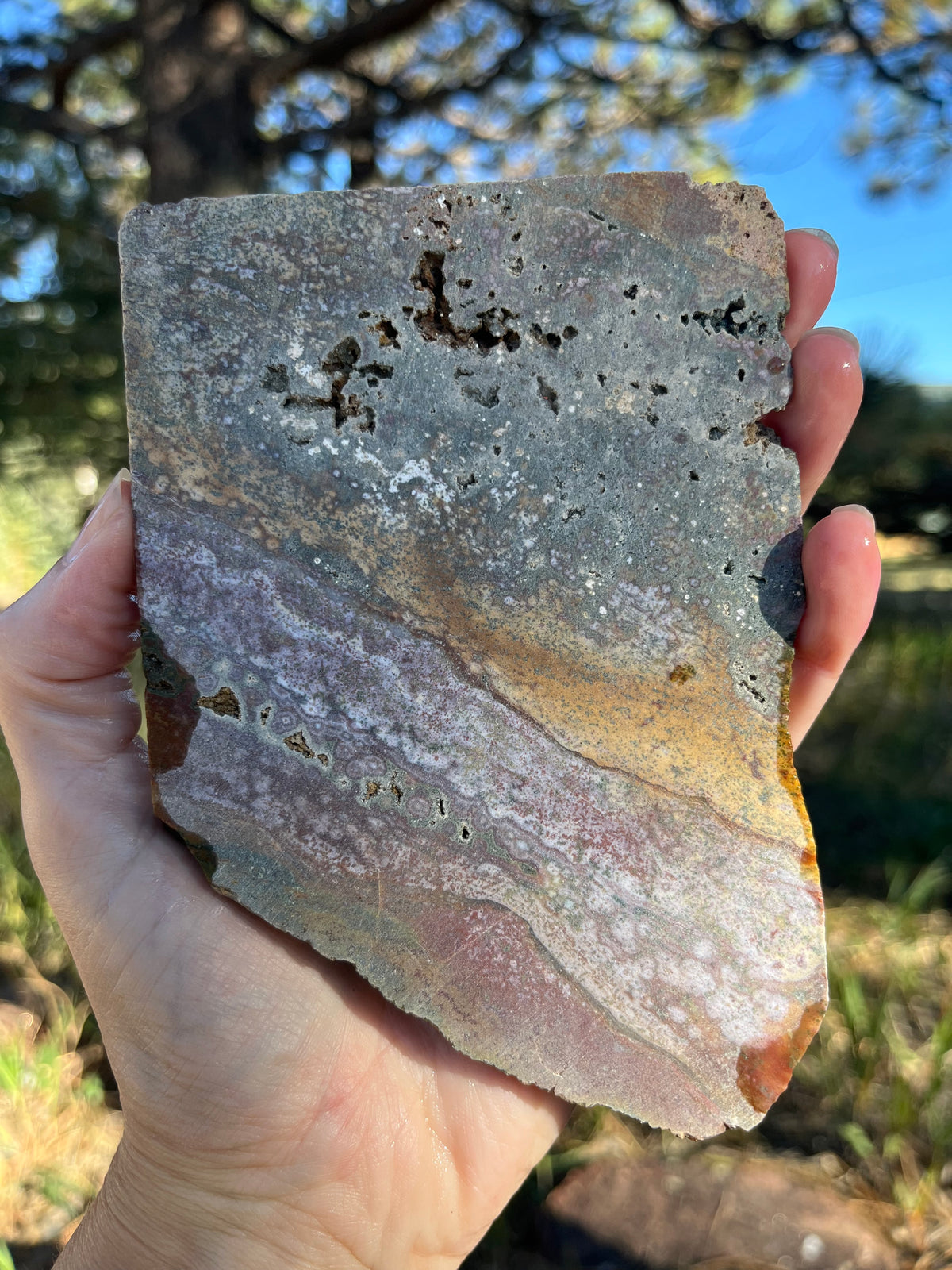 River Jasper Lapidary Slab supplies