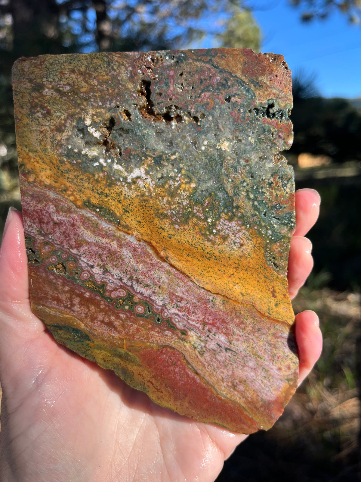 River Jasper Lapidary Slab supplies