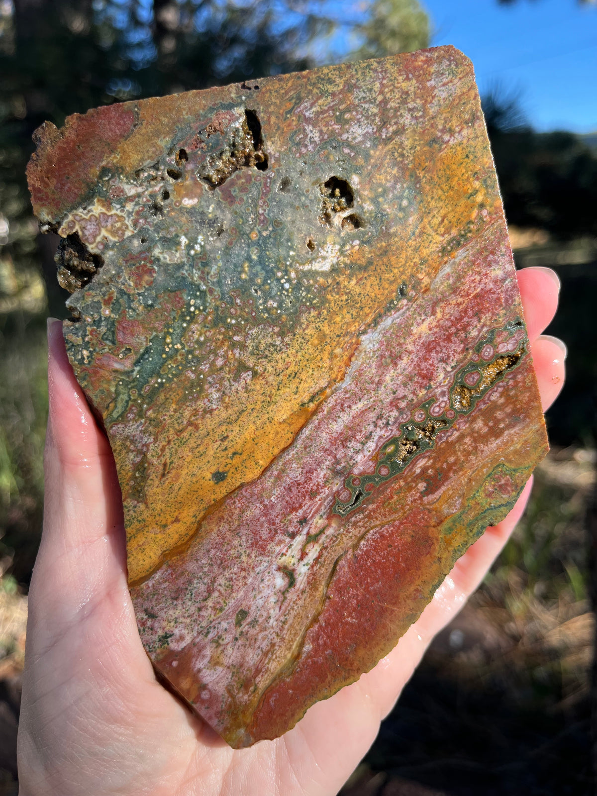 River Jasper Lapidary Slab supplies