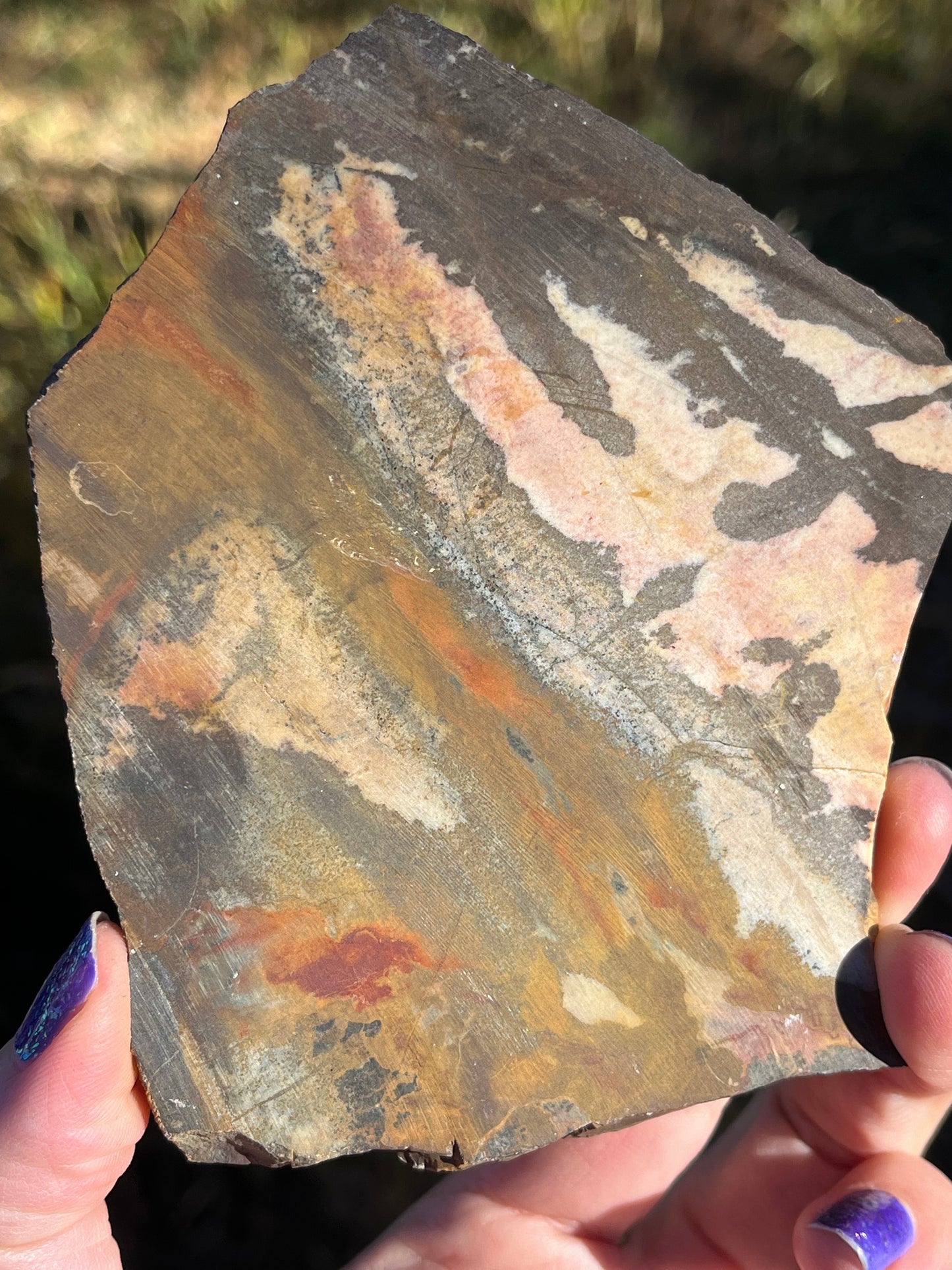 Andromeda Jasper Lapidary Slab stone supplies