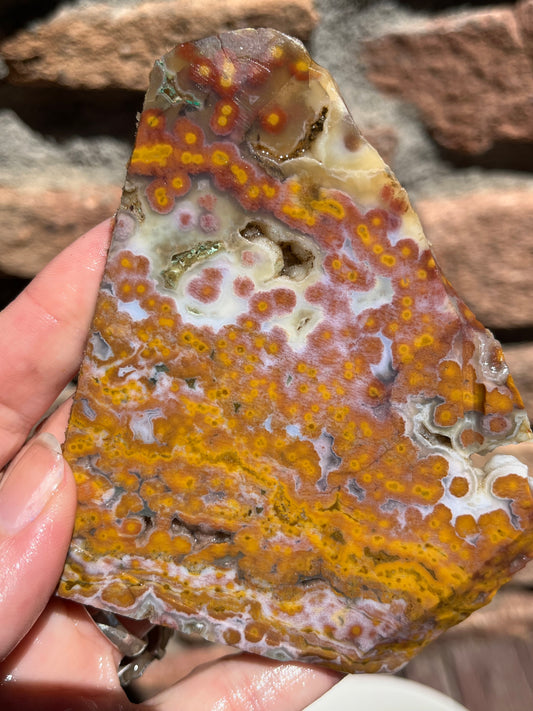 Ocean Jasper lapidary slab stone