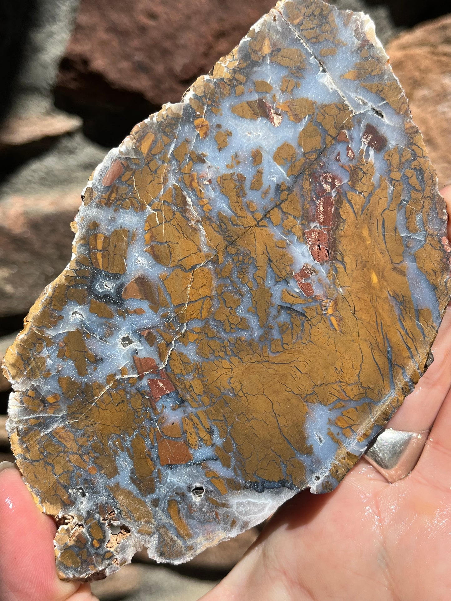 Indonesian Stone Canyon Lapidary slab supplies