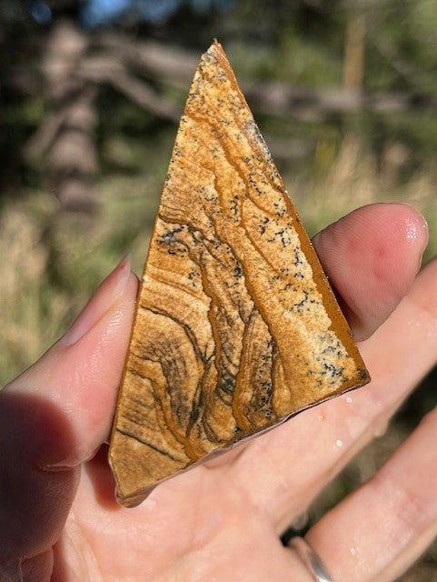 Picture Jasper Lapidary Slab supplies small slabs