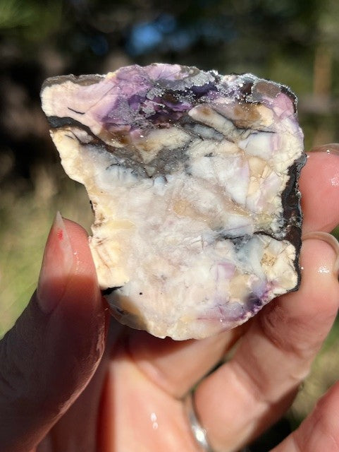 Tiffany Stone Lapidary Slab supplies small from Utah