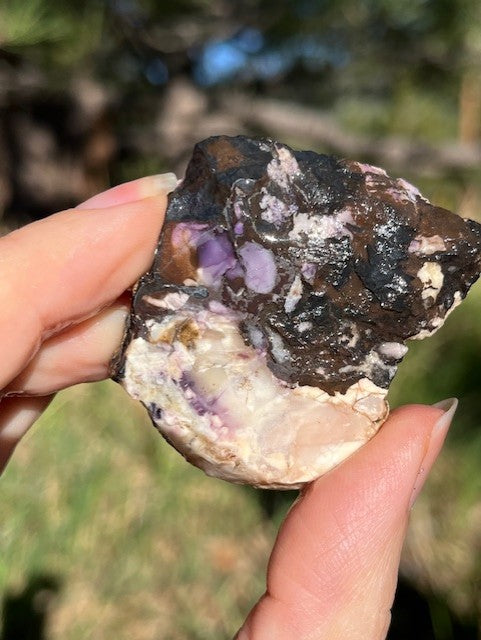 Tiffany Stone Lapidary Slab supplies small from Utah