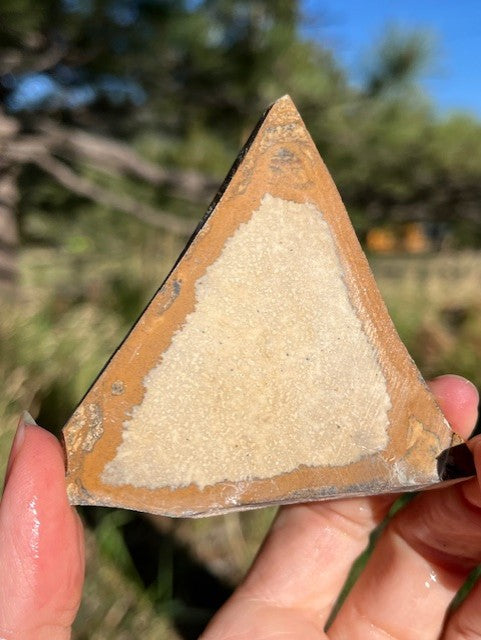 Picture Jasper Lapidary Slab supplies stone