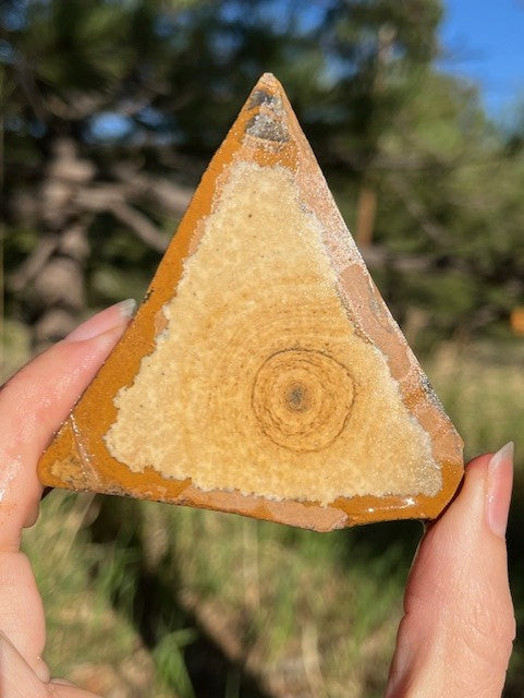 Picture Jasper Lapidary Slab supplies stone