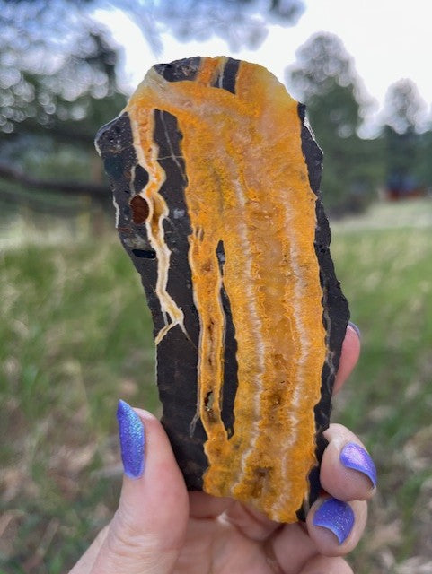Bumblebee Jasper Lapidary Slab supplies stone