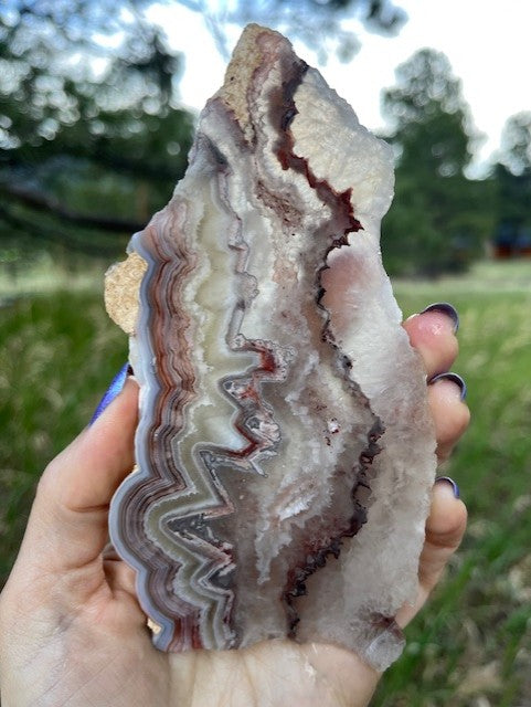 Mexican Crazy Lace Agate Lapidary Slab supplies