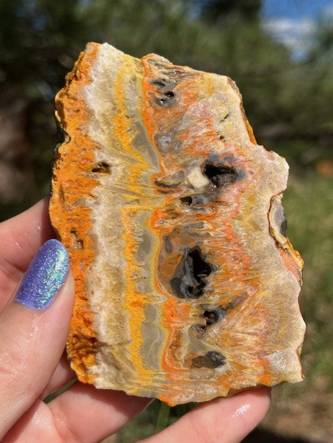 Bumblebee Jasper Lapidary Slab supplies stone bright